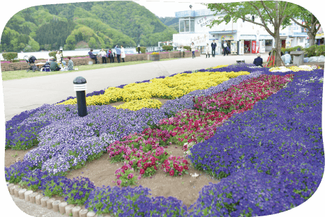 県立相模湖公園 花壇